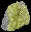 Lemon-Yellow Sulfur Crystals - Bolivia #51584-1